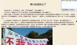 盐城金鹰爆料最新消息新闻,聚焦重大新闻事件深度解析